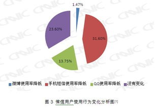 中国互联网络信息中心 构建互联网信息管理的坚实支柱